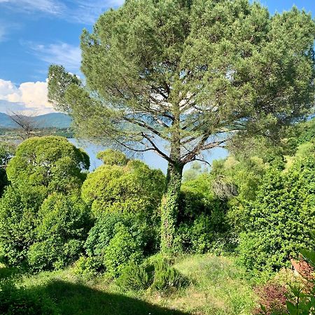 Villa Del Lago Барберино-ді-Муджелло Екстер'єр фото